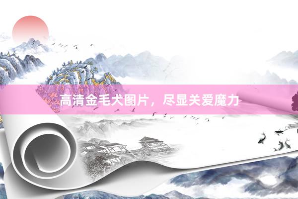 高清金毛犬图片，尽显关爱魔力